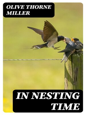 cover image of In Nesting Time